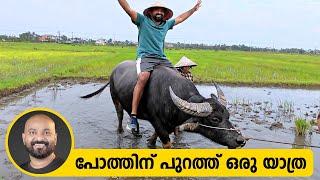 പോത്തിന് പുറത്ത് ഒരു യാത്ര | Exploring Hoi An, Vietnam | Ancient City, Paddy Fields & Buffalo Ride