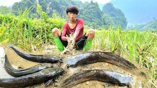 The boy caught many large catfish in the field and sold them. and was evicted from his residence