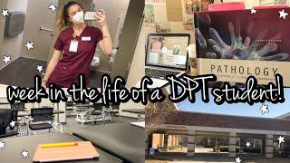 A WEEK IN THE LIFE OF A PHYSICAL THERAPY STUDENT