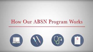 How the Northeastern ABSN Program Works