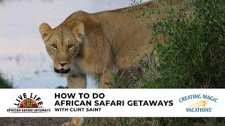 Virtual Travel Night featuring Live Life African Safaris with Clint Saint