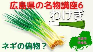 【ゆっくり解説】よく分かる広島の名物講座6『分葱』