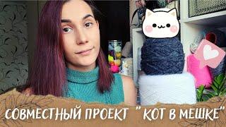 СП "КОТ В МЕШКЕ" | Угадываю пряжу