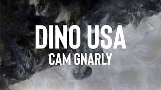 Cam Gnarly - DINO USA (Lyrics)