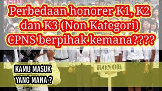 Ini Perbedaan Honorer K1, K2 Dan K3, Ada yang bisa langsung di Angkat PNS/P3K