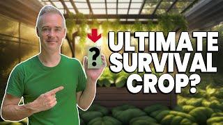 The ONE Crop to Grow in a SURVIVAL Garden