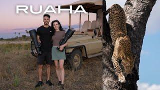 Ruaha National Park Safari Vlog and How I Edit my Wildlife Photos with Luminar Neo