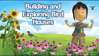 A WonderGrove for Birds: Building & Exploring Bird Houses