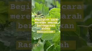 Cara meredam amarah berdasarkan sabda Rasulullah #shortvideo #shortyoutube