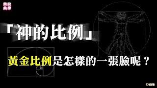 【雲說美學】放諸四海皆準被喻為「神的比例」-黃金比例-它造就眾人公認的美顏是怎樣的一張臉呢？