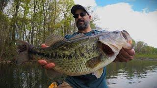 Catching BIG Spawning Bass on Simple Baits!!!