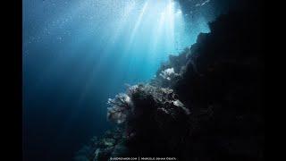 Raja Ampat Liveaboards - Best SCUBA Diving Holiday with MV Mermaid II Dec 2022