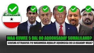 Xog 5 DAL oo Ictiraafay Somaliland aya hada la ogaaday? Guusha AQOONSI iyo Qorshe CADOWGU ka yaabay?