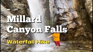 Millard Canyon Falls, Altadena, California | February 2024 | Waterfall Hikes, Los Angeles