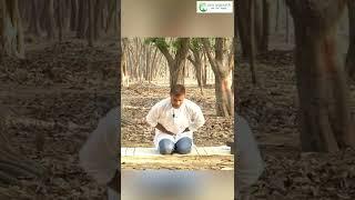 Yoga for Diabetes | Control Sugar Level | Yoga | Swa yogpeeth | Yogi Saurabh