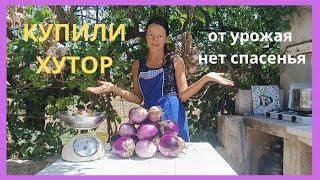 36.  ХУТОР.  Баклажаны по - итальянски на зиму. Украл яйцо во время съёмки.