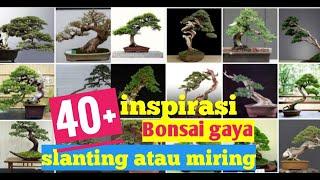 40+ inspirasi gaya bonsai slanting atau miring