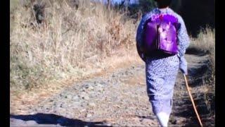 116 妖艶 紫文庫結びの武家女