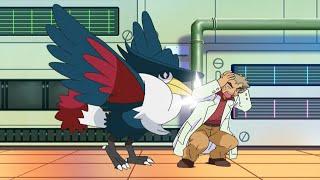 Honchkrow attacks Professor Oak | Pokemon quiz