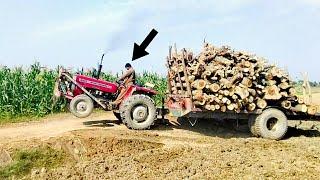 Tractor stunt | Massey Ferguson 240 tractor amazing sound on 10,000 kg load