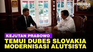 Prabowo Subianto Temui Dubes Slovakia, Modernisasi Alutsista Standard NATO