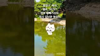 #맞장구 #옥이 작곡#재빼기신사  작사#김낙관#영심이 #가수옥이tv구독좋아요