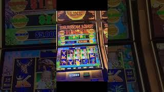 Incredible $7,034 Jackpot on Dragon Link  Watch the Big Win #shorts