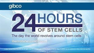 6th annual Gibco™ 24 Hours of Stem Cells™ virtual event