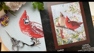 167. Stitch with me! Finished xstitch of my friend