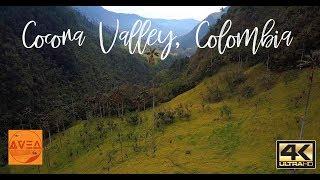 Cocora Valley, Colombia 4K