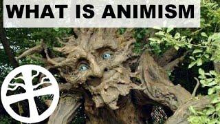 What is Animism