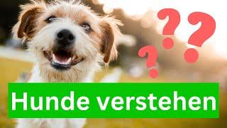 Hunde verstehen  Die Sprache der Hunde - Kennst du sie?