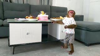 Mother and monkey Mon secretly held a surprise party for Kobi on her 3rd birthday