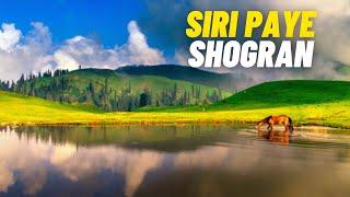  Shogran Siri Paye | Paye Meadow