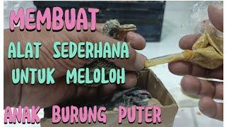 MEMBUAT ALAT SEDERHANA UNTUK MELOLOH ANAK BURUNG PUTER