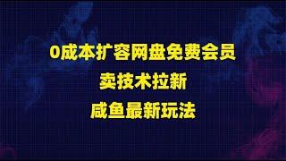 0成本扩容网盘免费会员卖技术拉新咸鱼最新玩法