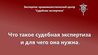 Что такое экспертиза.