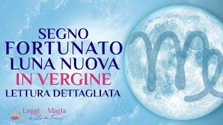  SEGNO FORTUNATO Luna Nuova in VERGINE - Lettura 2-8 settembre  [CRESCITA PERSONALE E SALUTE ]