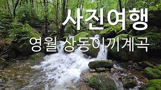 영월/이끼계곡/상동이끼계곡