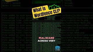 What Is Wordfence CLI? - Command Line Scanner For WordPress Security #wordpress #wordfence #wpcli