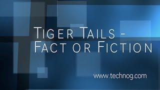 Tiger Tails - Fact or Fiction? (Fixed...)