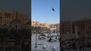 The most beautiful experience  #shorts #youtubeshorts #shortvideo #madina