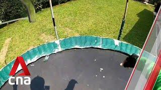 Singapore GrabFood rider jumps on customer's trampoline in viral video