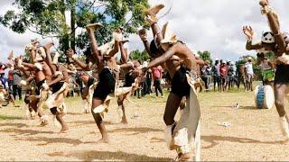 Amaphikankani. Zulu dance