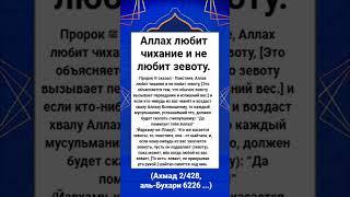 Аллах любит чихание и не любит зевоту.