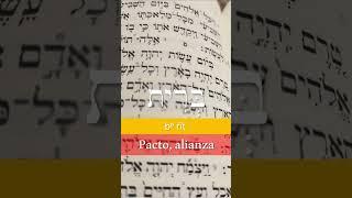 21. "Pacto, alianza" en hebreo bíblico #בְּרׅית #Pacto #Alianza #HebreoBíblico #biblicalhebrew