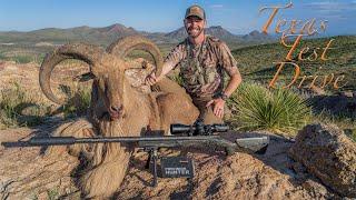 Texas Test Drive | Hunting Aoudad with Hornady's 7mm PRC