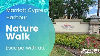 Marriott's Cypress Harbour Nature Walk