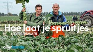 Hoe laat je spruitjes lekkerder smaken? | Dit is het seizoen | Allerhande