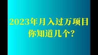 99%的人不知道月入过万的兼职副业项目（已测试），在家就能轻松赚钱！